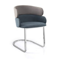 Stoel Fayenne - met armleuning  sleede voet CH-2541 1