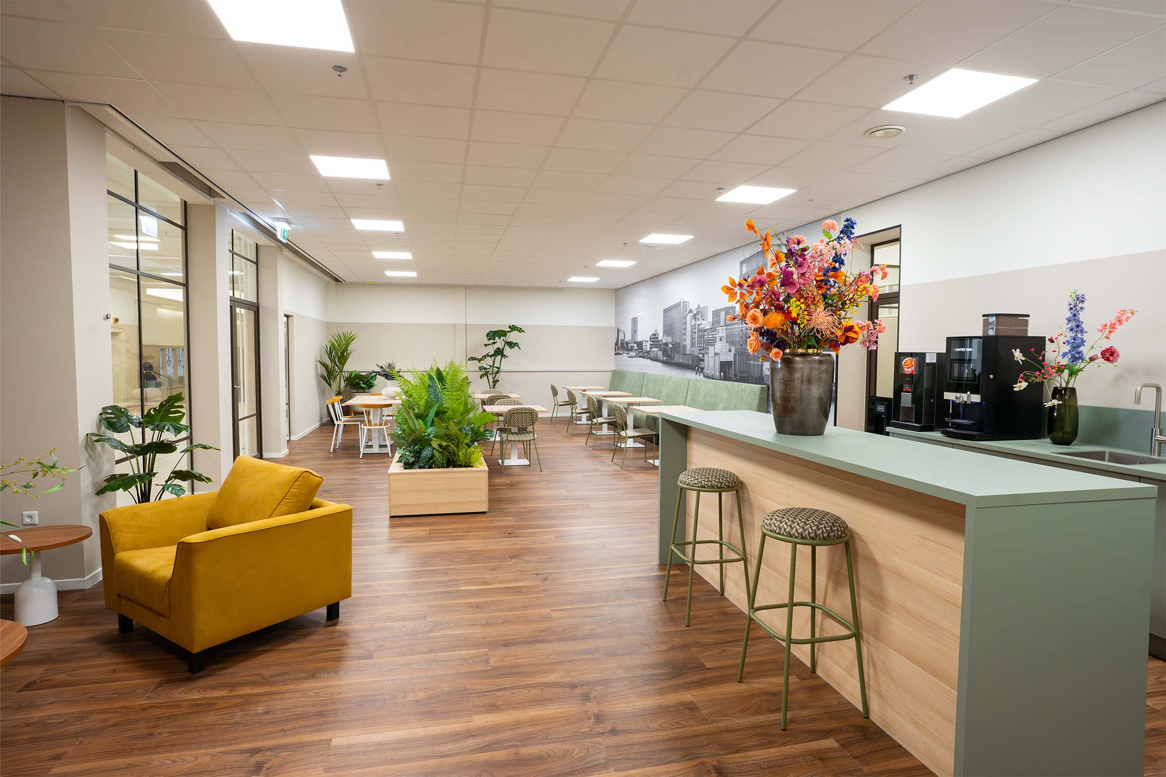 DSC05525-Verbeterd-NR